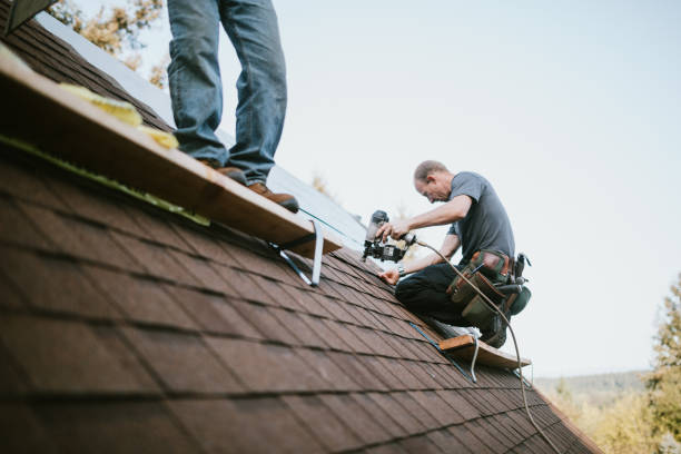 Best Gutter Installation and Roofing  in Merrydale, LA